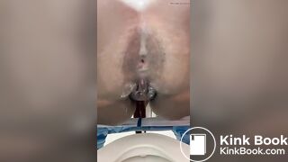 242 shits