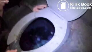 Porta Potty Whores