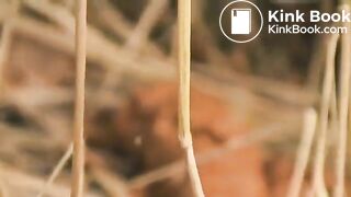 Girl poop - video 145