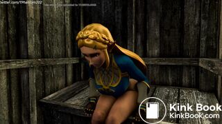 BOTW Zelda Bombs an Outhouse