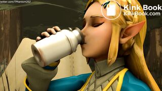 BOTW Zelda Bombs an Outhouse