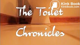 Toilet Chronicles - video 2