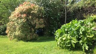 A garden poo..