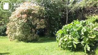 A garden poo..