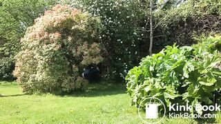 A garden poo..
