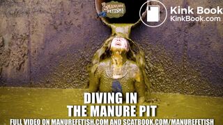 Diving in the manure pit full of cowshit