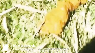Girl diarrhea burst on grass