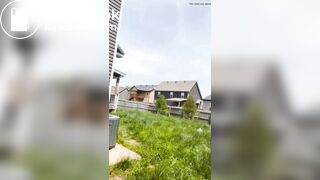 Quero melhores vídeos de scat