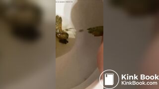 Nice load - video 28