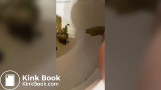 Nice load - video 28