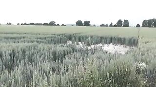 Outdoor poo in a field..