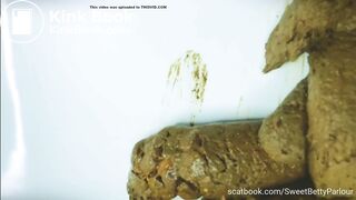 Large pile of turds in sink