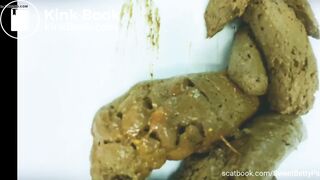 Large pile of turds in sink