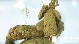 Large pile of turds in sink