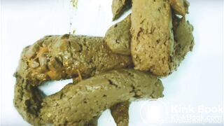 Large pile of turds in sink