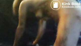 Webcam scat whore - video 2