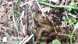 Her poo in the woods..