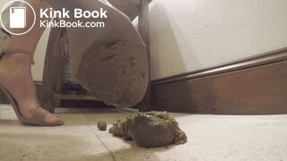 White Lady Poop Voyeur - video 10