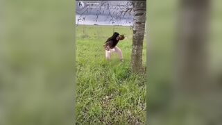 Influencer latina takes a shit outdoor instagram story