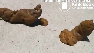 Shitting - video 480