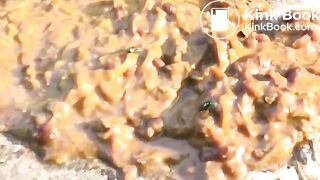 COLLECTION OF FEMALE POOP 8
