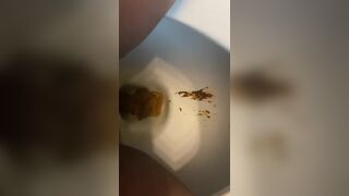 A messy toilet poo..