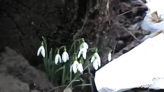 Early spring poo in the woods..