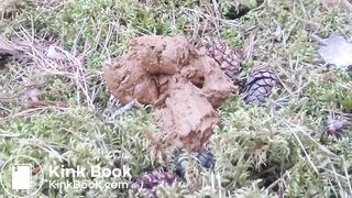 Eating poo in the woods..