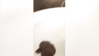 cute girl shitting comp