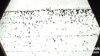 girls pee and shit in wooden toilet 2