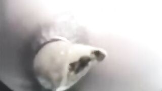 JAPANESE TOILET POOP - video 6