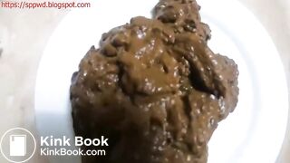 toilet scat pov2