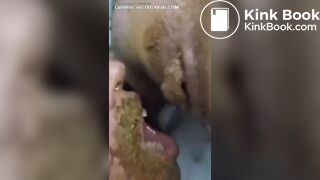 Shitting