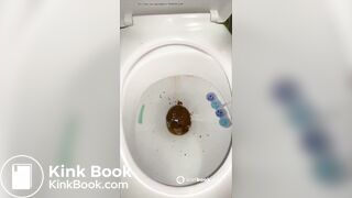 Delicious looking shit 2