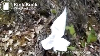 A log in the woods..