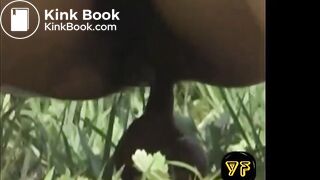 Sharked while shitting (10)