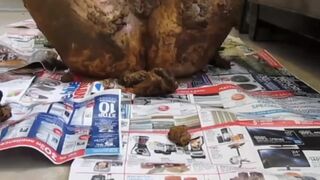 FULLY COVERED IN SHIT