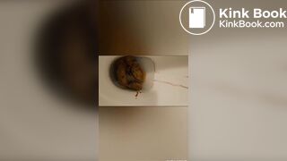 poop and dirty ass with poop