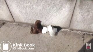 Japanese Ladies Poop Voyeur - video 197