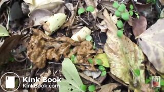 Japanese Ladies Poop Voyeur - video 197