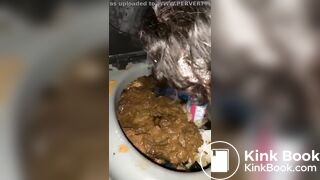 porta potty scat slut
