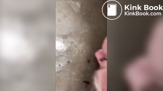 PUBLIC POTTY LICKERS v DIRTY TOILET TRAMPS