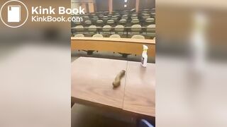 SHITTY GIFT FROM A STUDENT GIRL TO A TEACHER