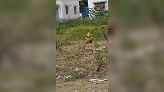 Pooping 2 - video 14