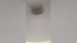 Massive poop - video 3