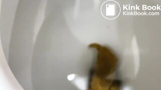 Sitting poop - video 7