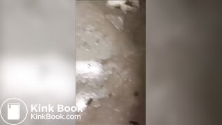 Toilet licking - video 15