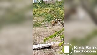 Pooping 1 - video 12