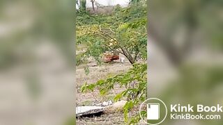 Pooping 1 - video 12