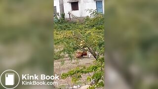 Pooping 1 - video 12